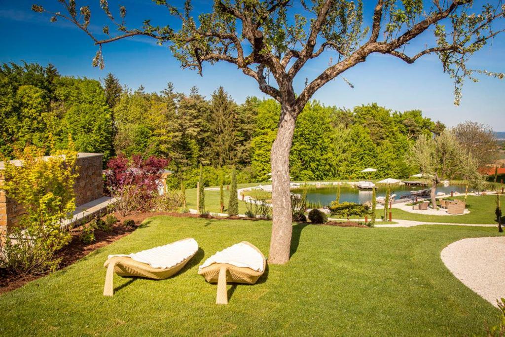 Golden Hill Country Chalets & Suites Waldschach Zewnętrze zdjęcie