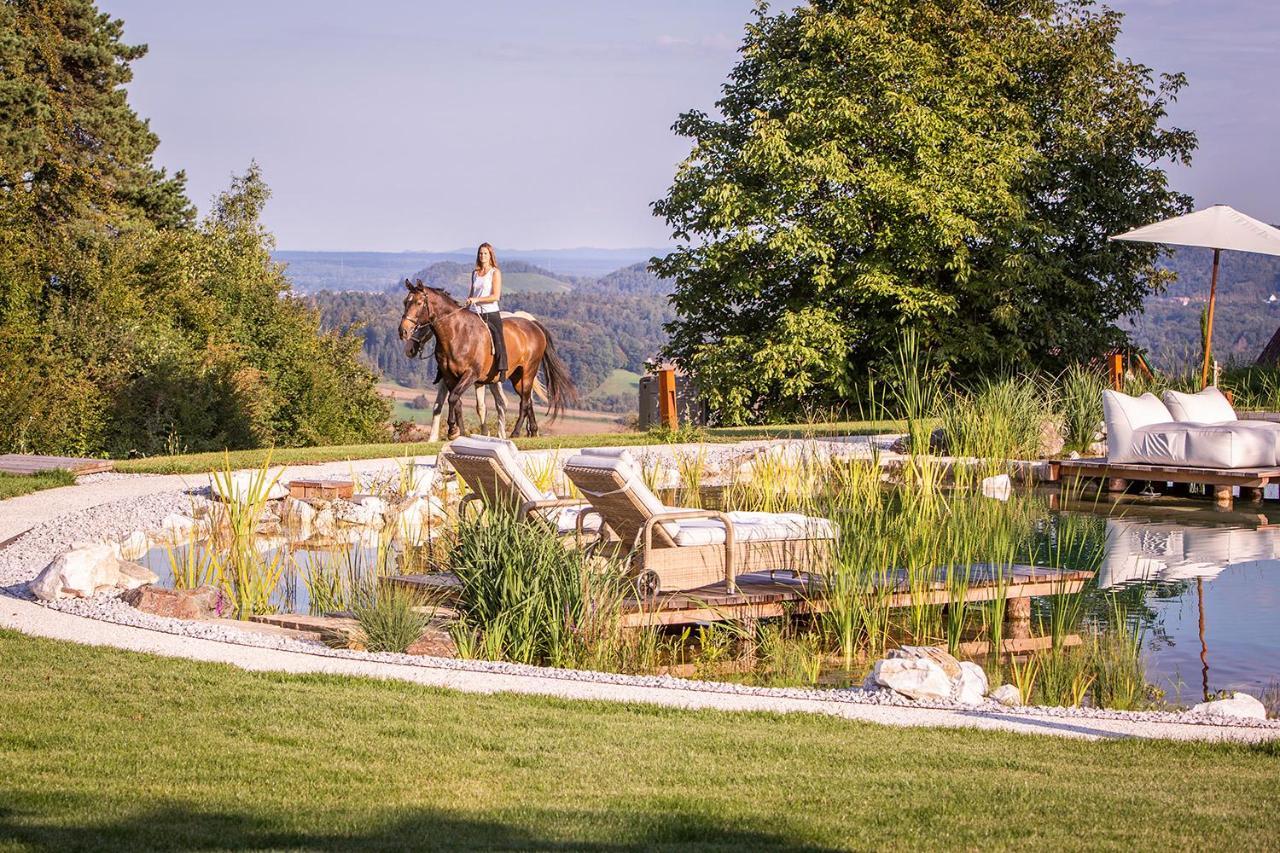 Golden Hill Country Chalets & Suites Waldschach Zewnętrze zdjęcie
